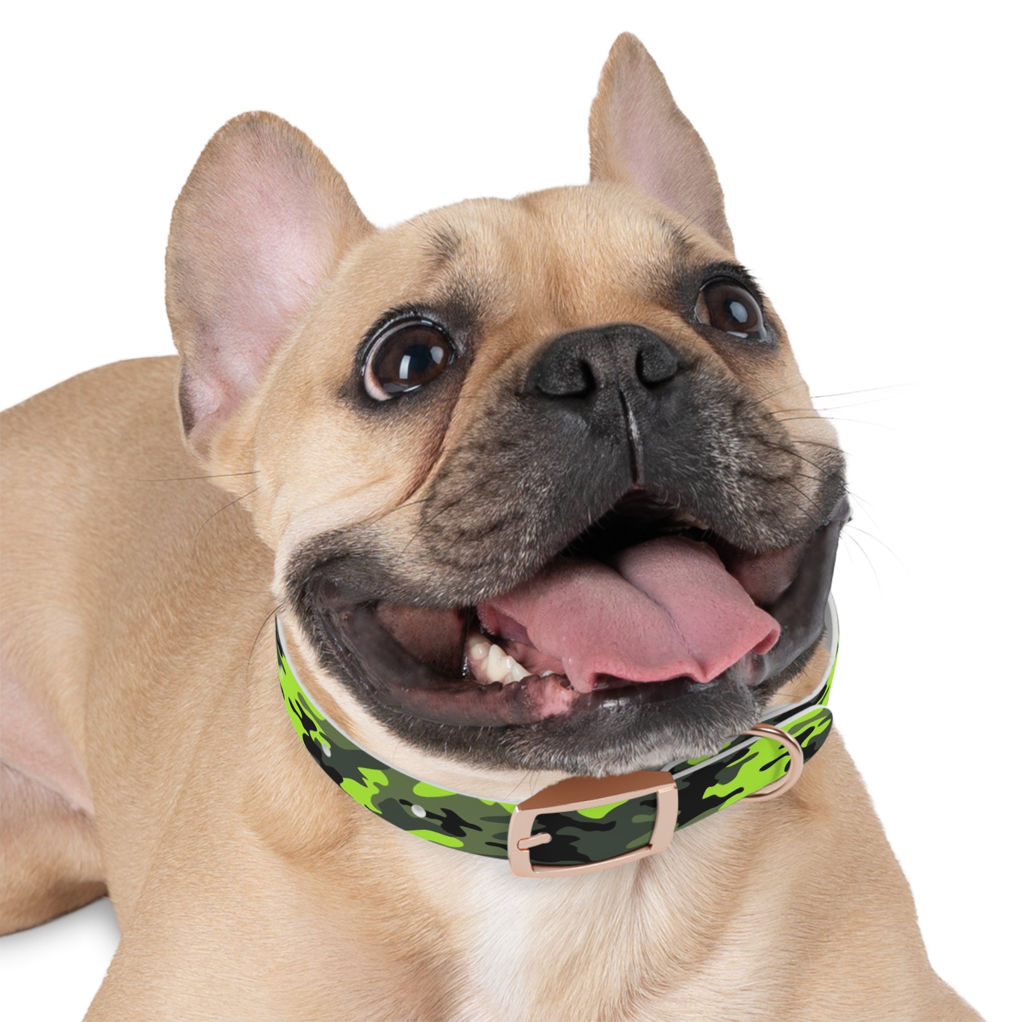 Camo Dog Collar - Lost Pet Drone Recovery