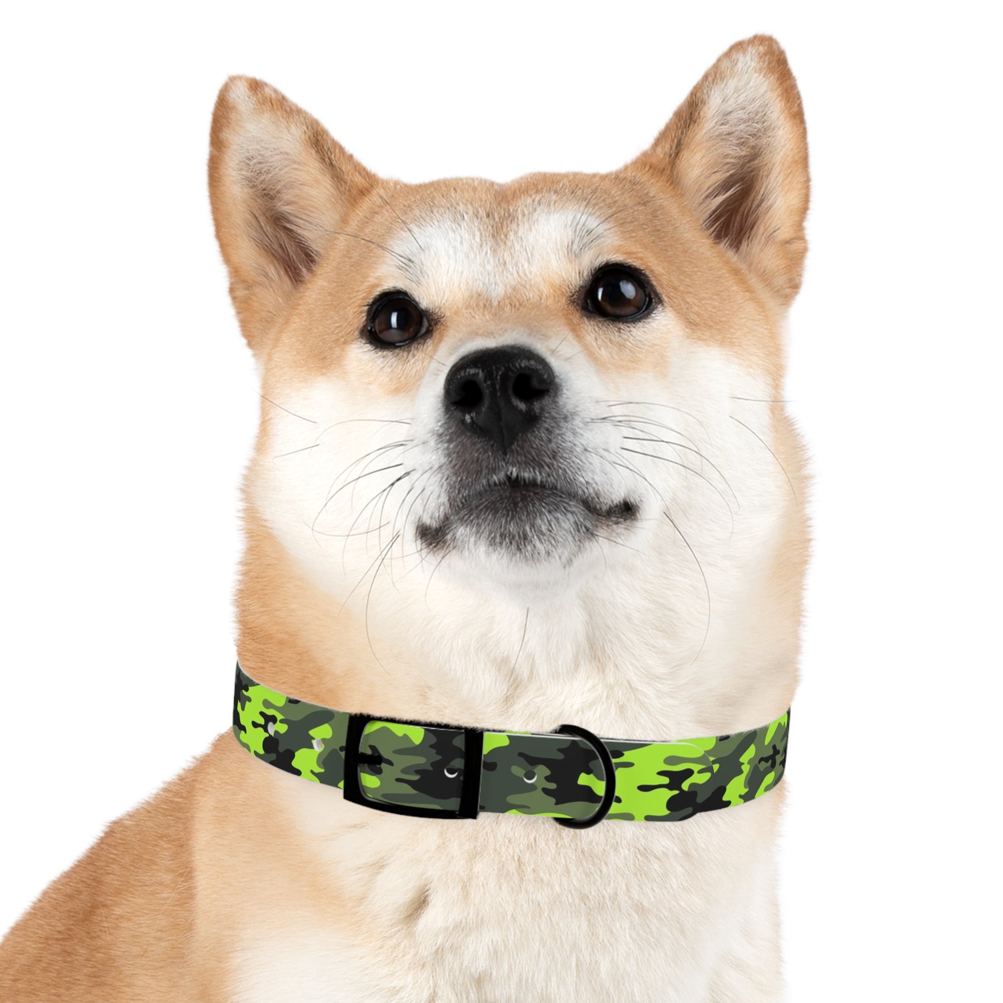Camo Dog Collar - Lost Pet Drone Recovery