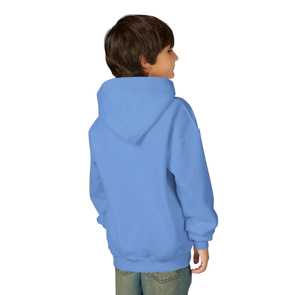 LPDR Hoodie for Youth – Because Every Paw Deserves to Come Home!
