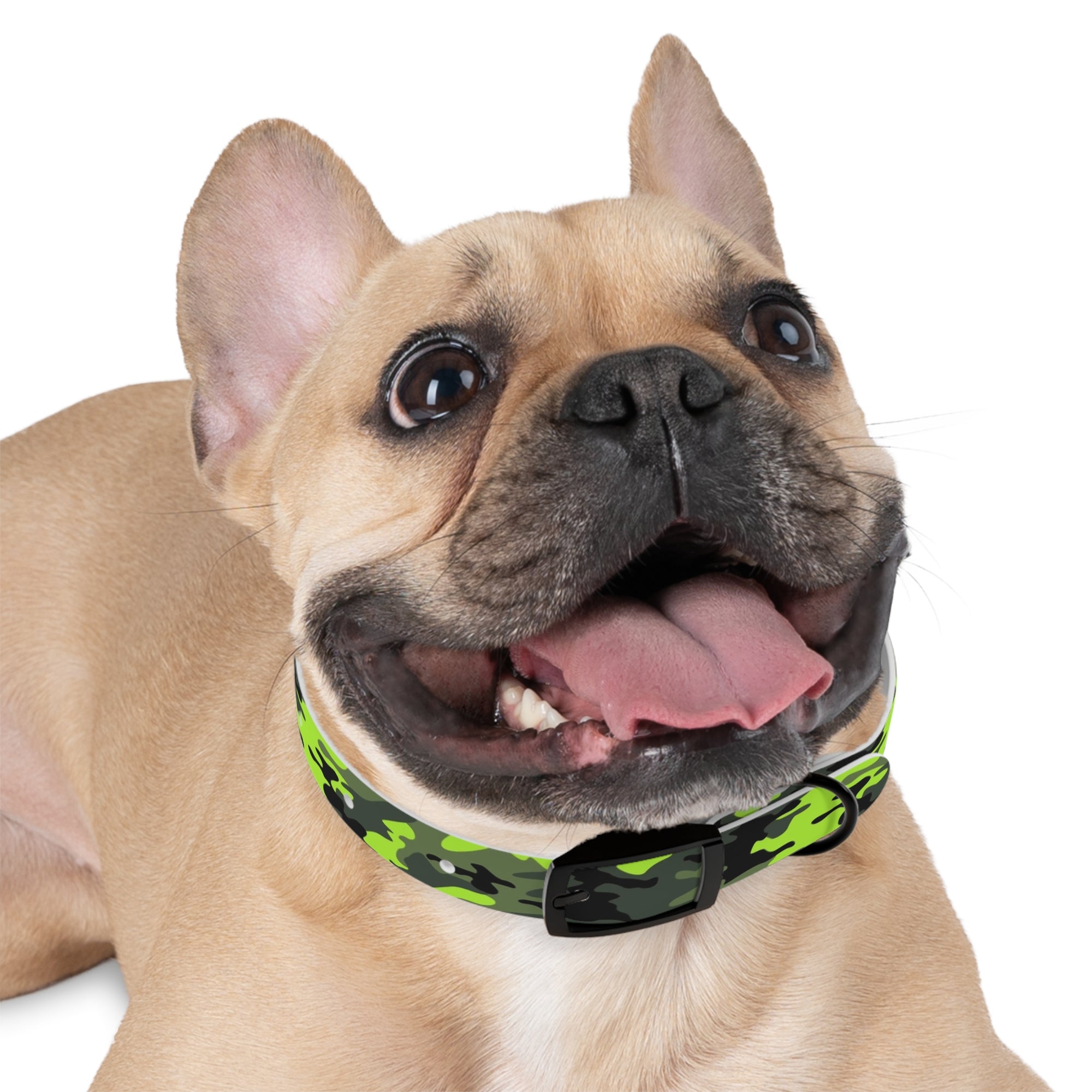 Camo Dog Collar - Lost Pet Drone Recovery