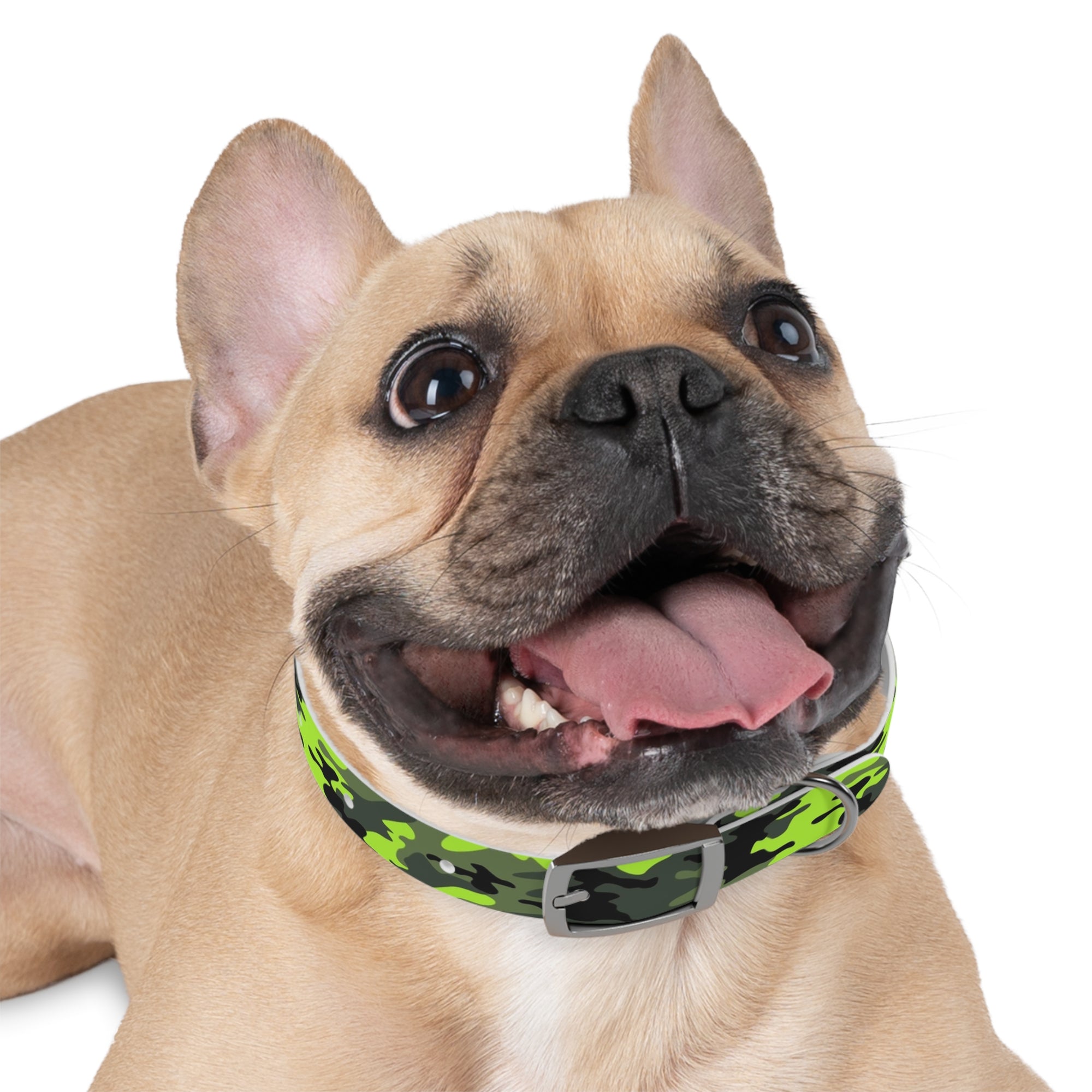 Camo Dog Collar - Lost Pet Drone Recovery
