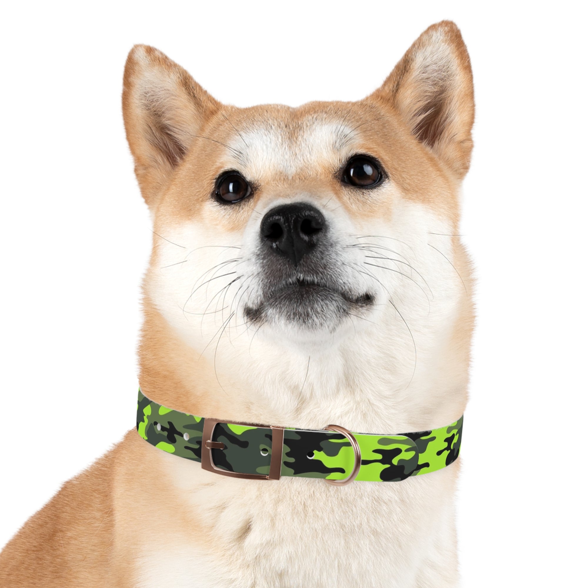 Camo Dog Collar - Lost Pet Drone Recovery