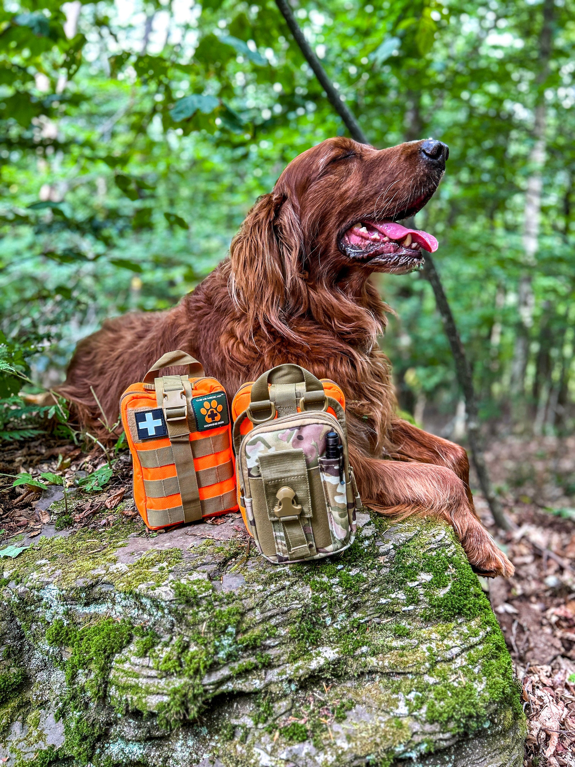 The K9 MEDIC KIT - WORKING DOG EDITION | First Aid Kit for Dogs